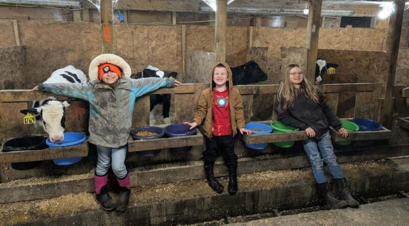 Christmas on the farm and homestead